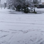 DSC_1692