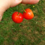 20170719_142541721