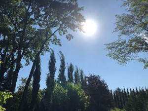 IMG_1769