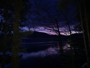 IMG_20191124_055908