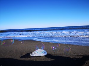 IMG_20200211_143457