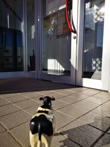 IMG_20210102_124507