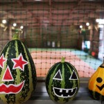 IMG_20211018_140248