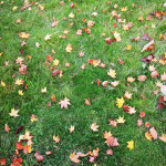 IMG_20221017_084827