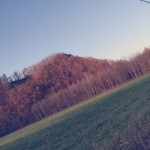 IMG_7046